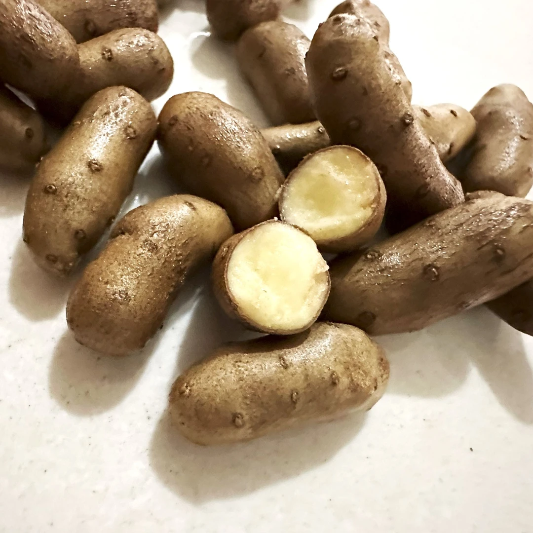 菏泽鸡皮糙铁棍新鲜山药豆5斤