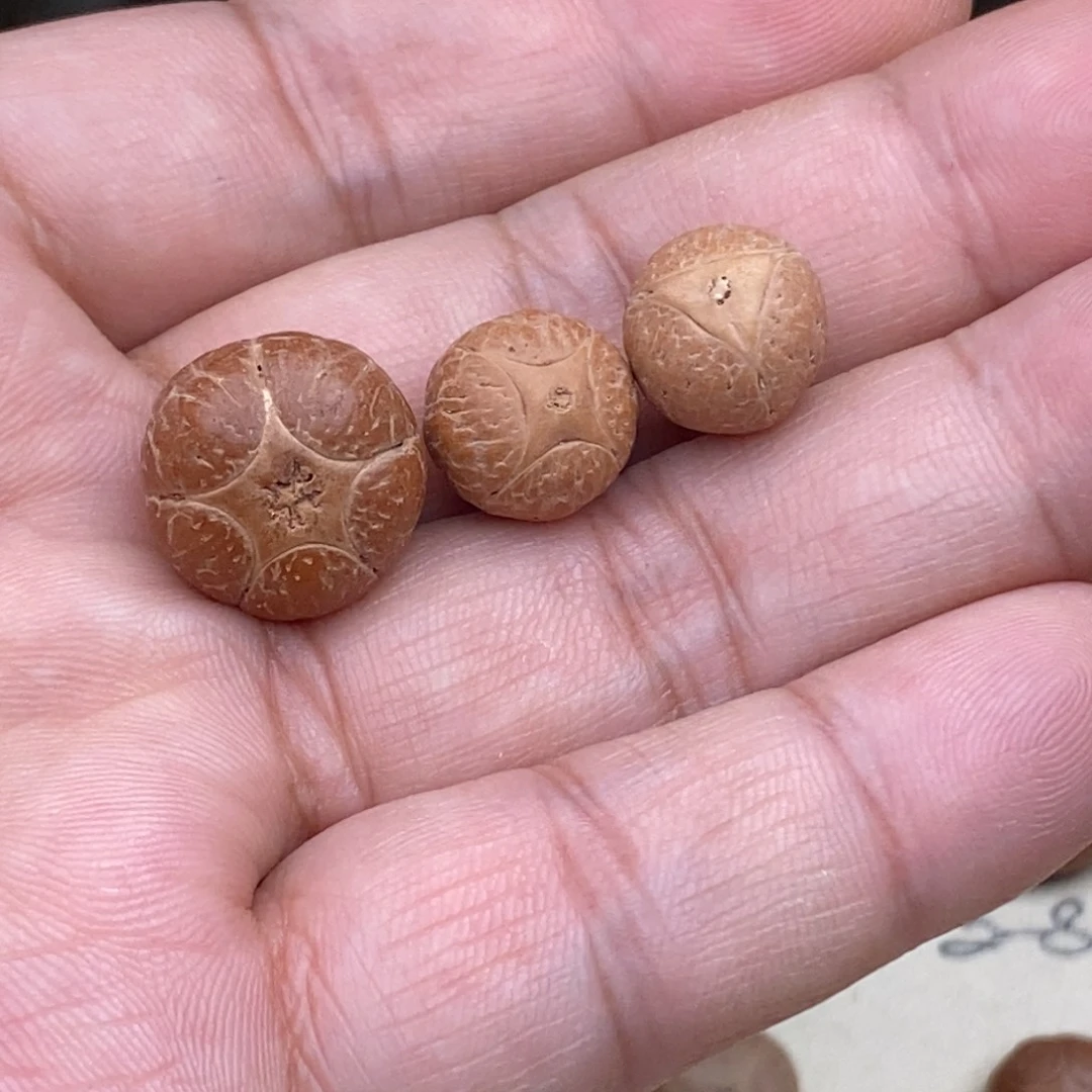 期***天吊坠凤眼菩提五星