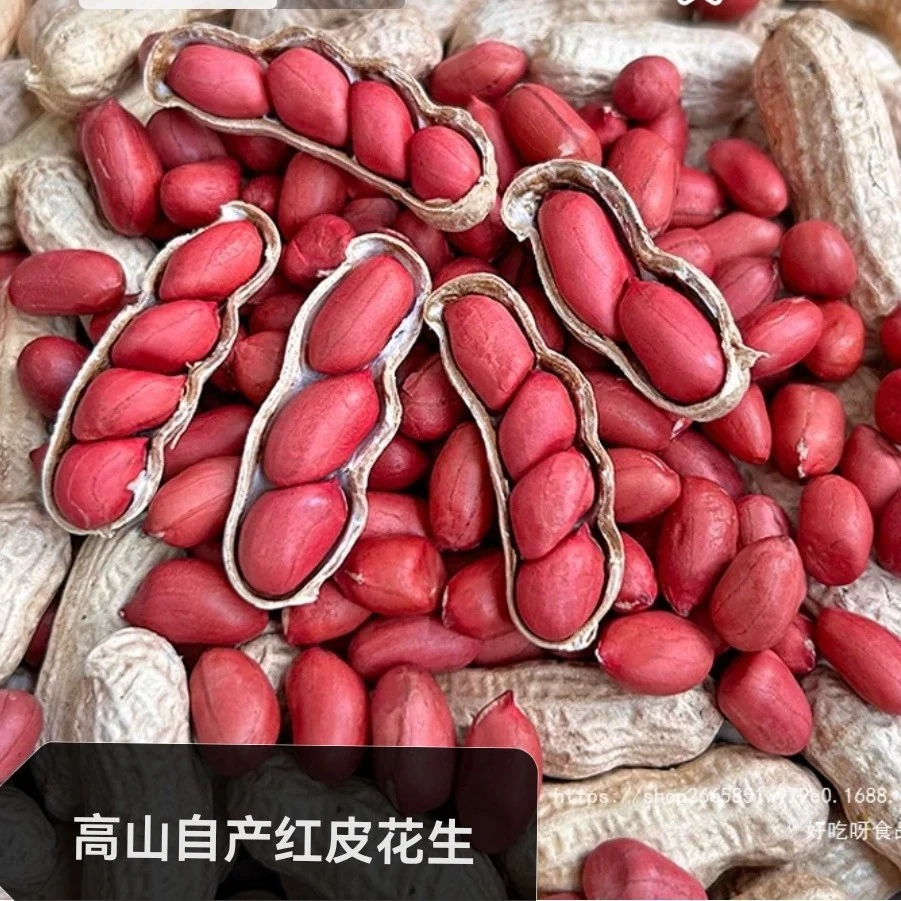 新鲜5斤带壳带泥红皮多粒红花生农家自种自然晒干原味生花生