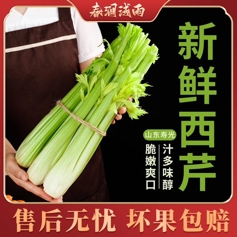 【春涧浅雨】山东寿光西芹3/5斤装