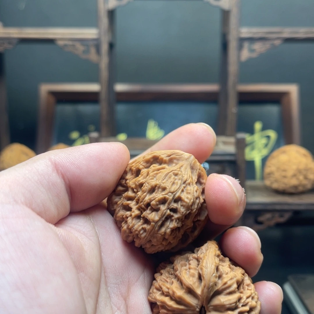 一***头jtdtzkyxykxktztmzmtztk