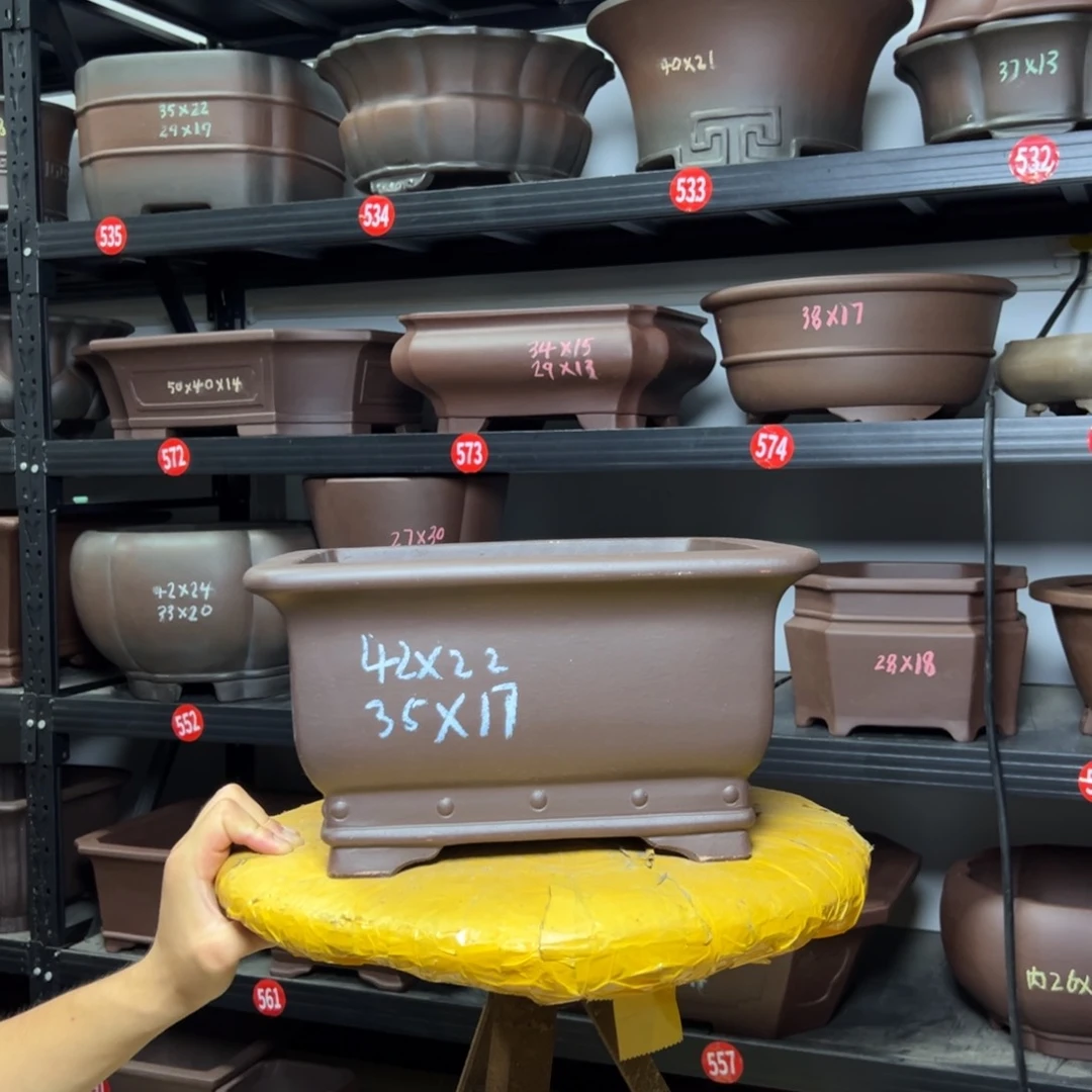 紫砂其他呜呜呜呜