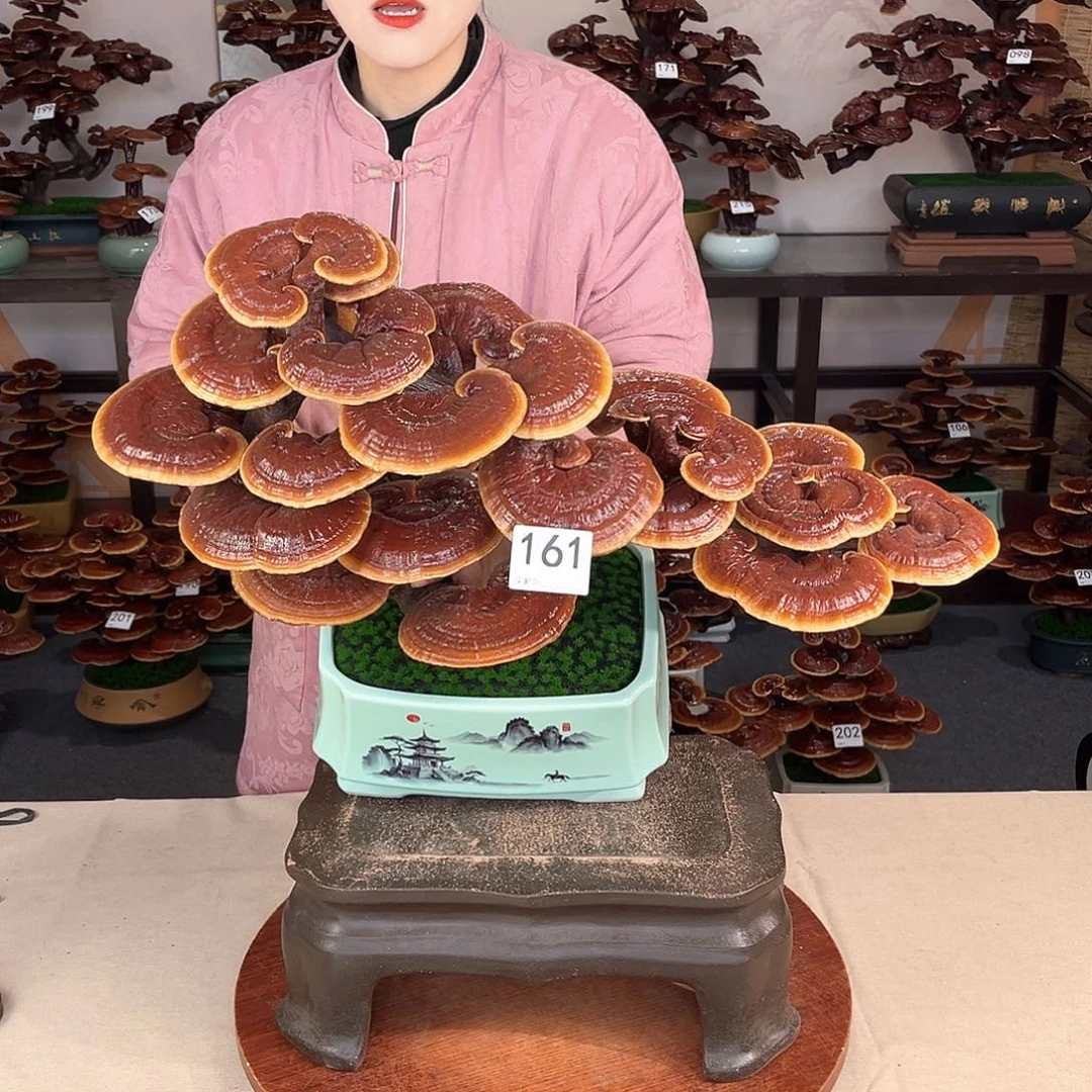 万事如意88888161