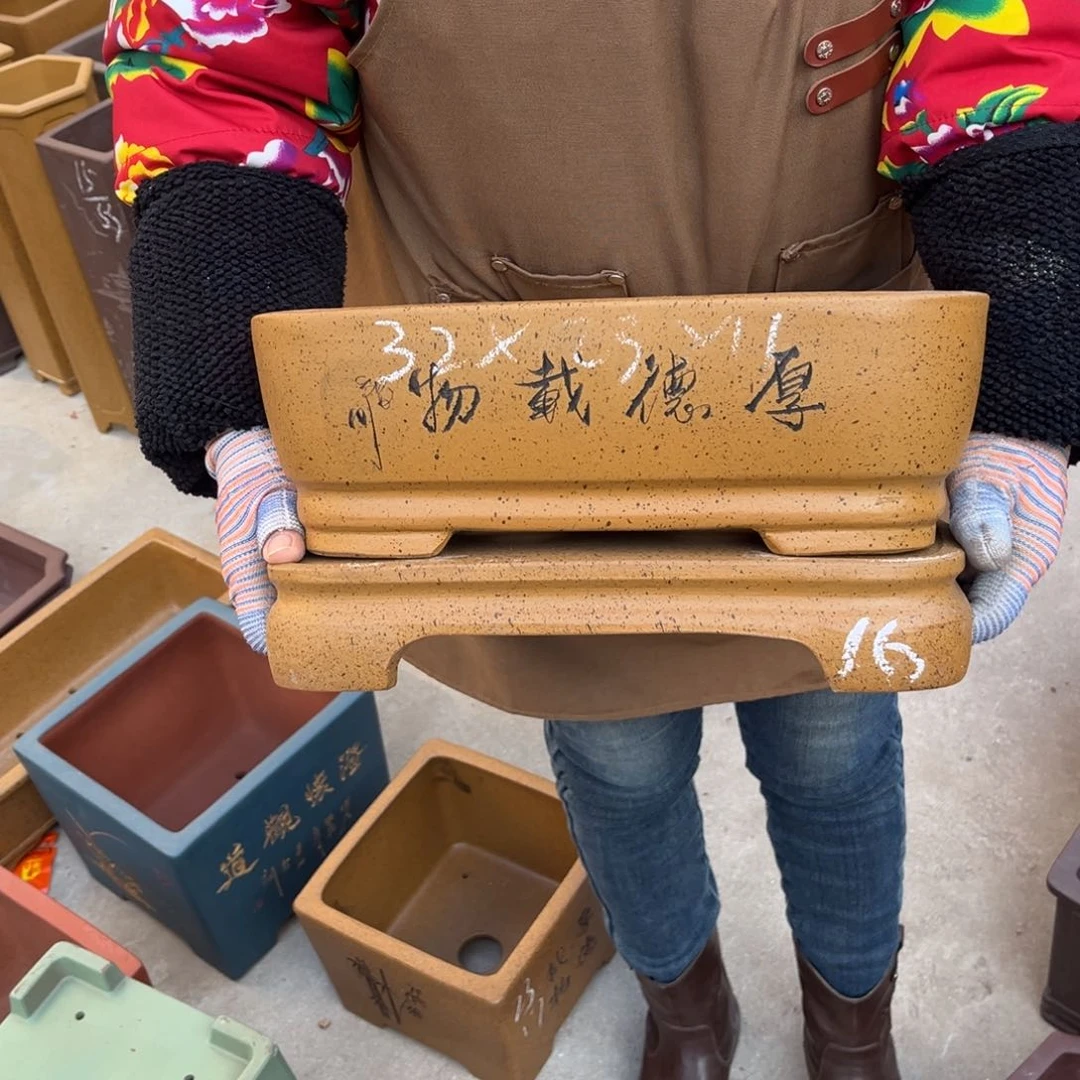 紫砂花盆盆景艺术