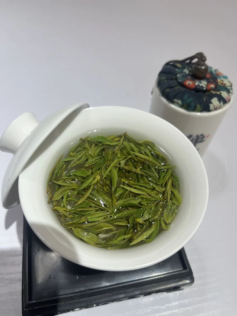 （289）2025年高山笨茶