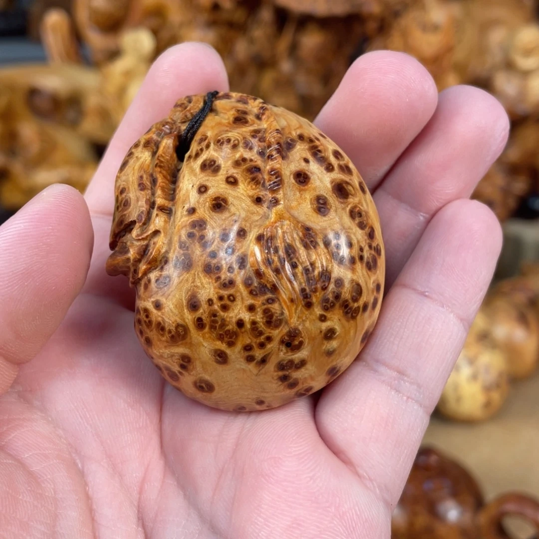 柏木（崖柏）太行崖柏