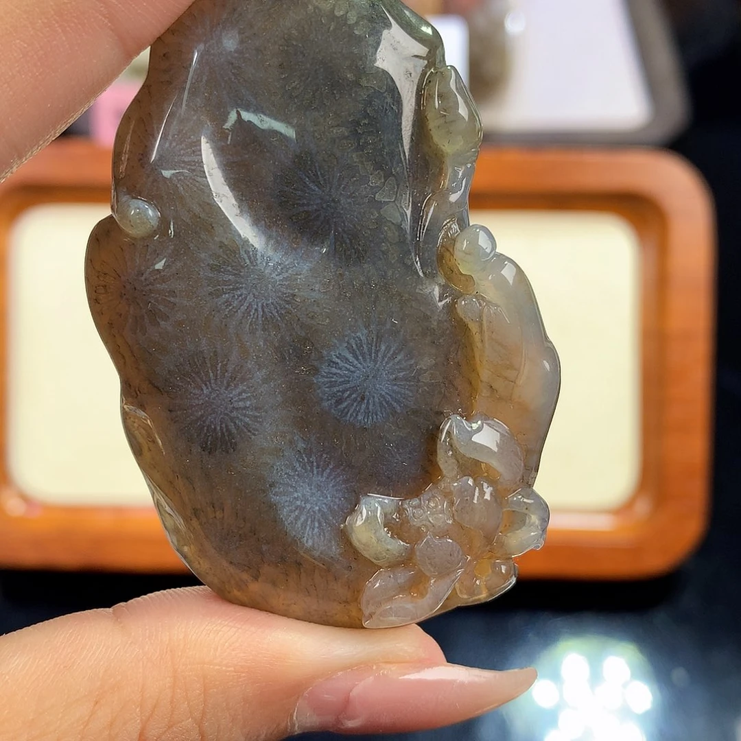 硅化珊瑚（珊瑚玉）未镶嵌吊坠(赠链)16号 悟道