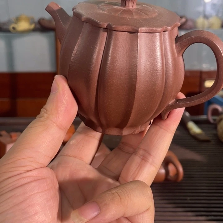 茶壶紫砂哈哈哈哈哈这个综艺节目真的是太