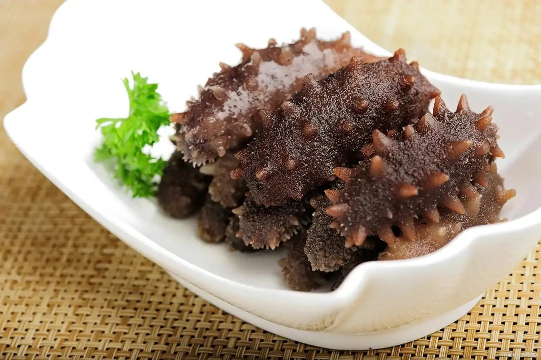 即食海参（10只 顺丰包邮）