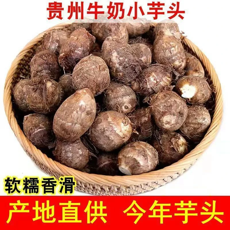 （净重5斤中果-单果30g起）贵州新鲜现挖牛奶小芋头毛芋头毛芋芋艿