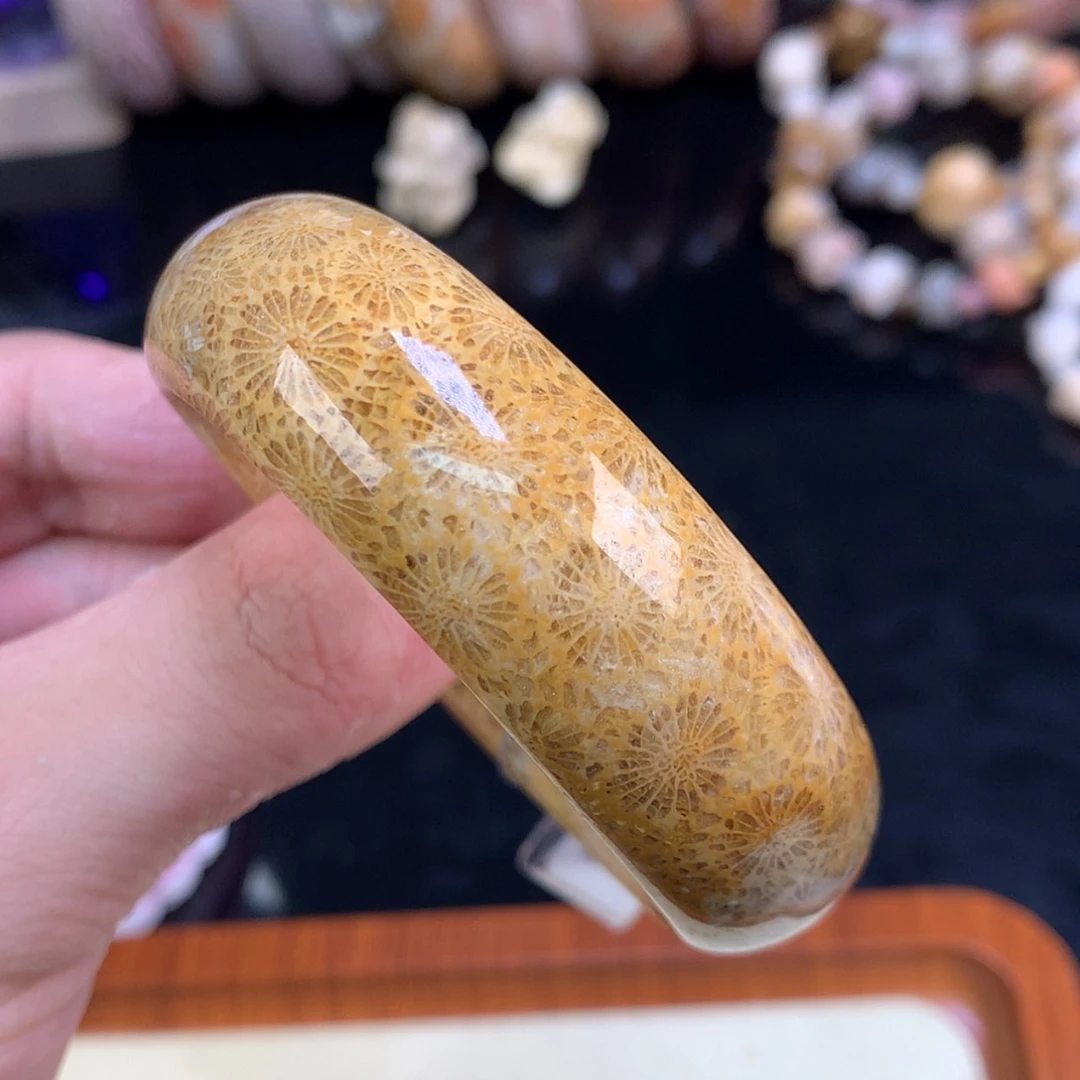 【闪购商品】颈饰未镶嵌硅化珊瑚（珊瑚玉）66号53.7圈金大花