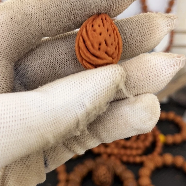 A***A探险125868988989999