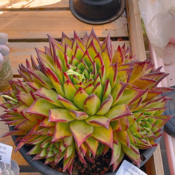 谢谢你的支持00000001026