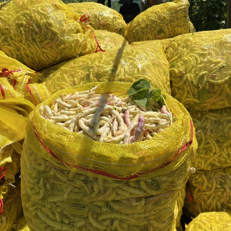 【顺丰快递】东北自己家园子豆角大地豆角黄金勾