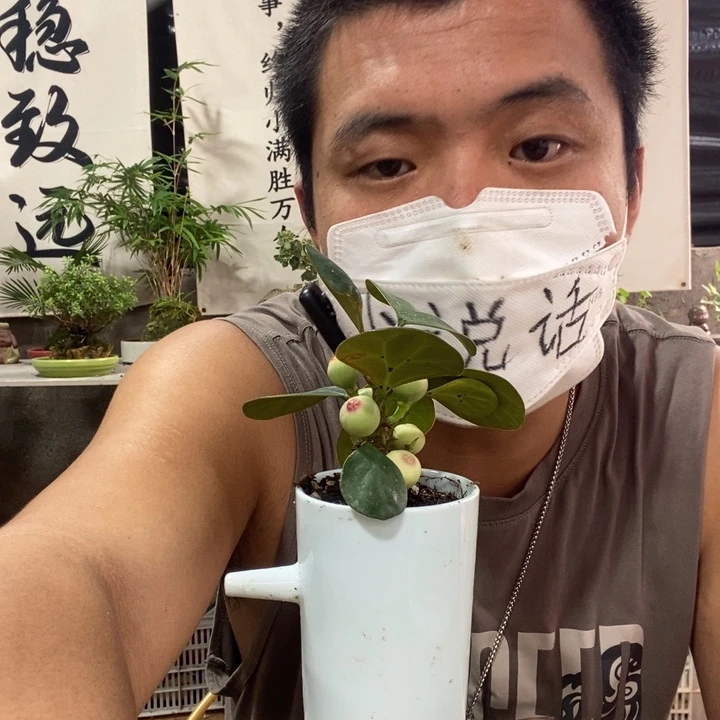 无花朵退款拉黑58