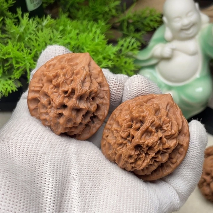 野生水晶狮子头下播福利