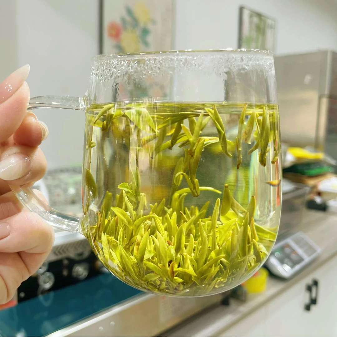 2025新茶明前土品种黄芽