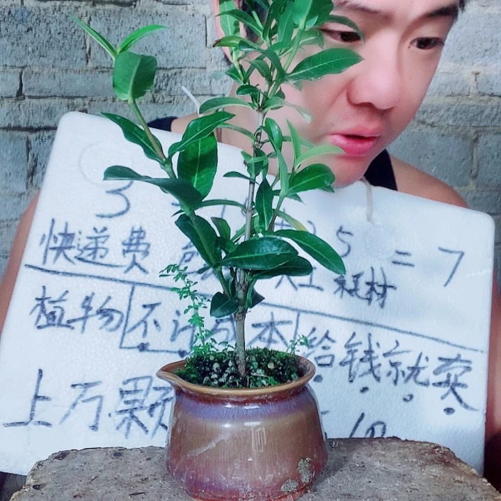 退款拉黑一物一拍168