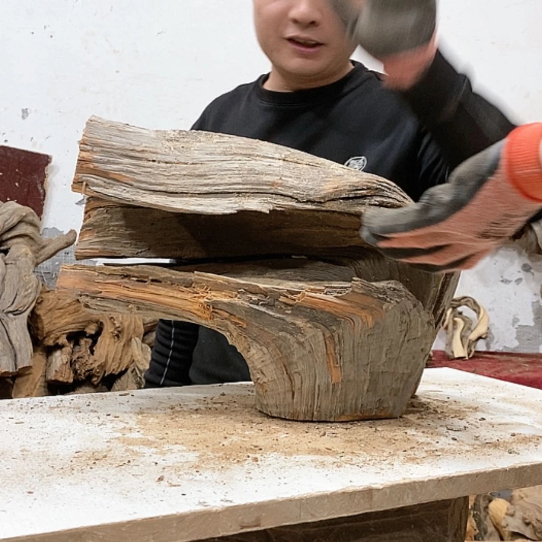 【闪购商品】柏木鲲**翅我们都是好孩子