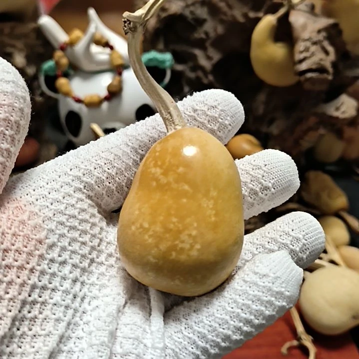 童***机666666666666666666