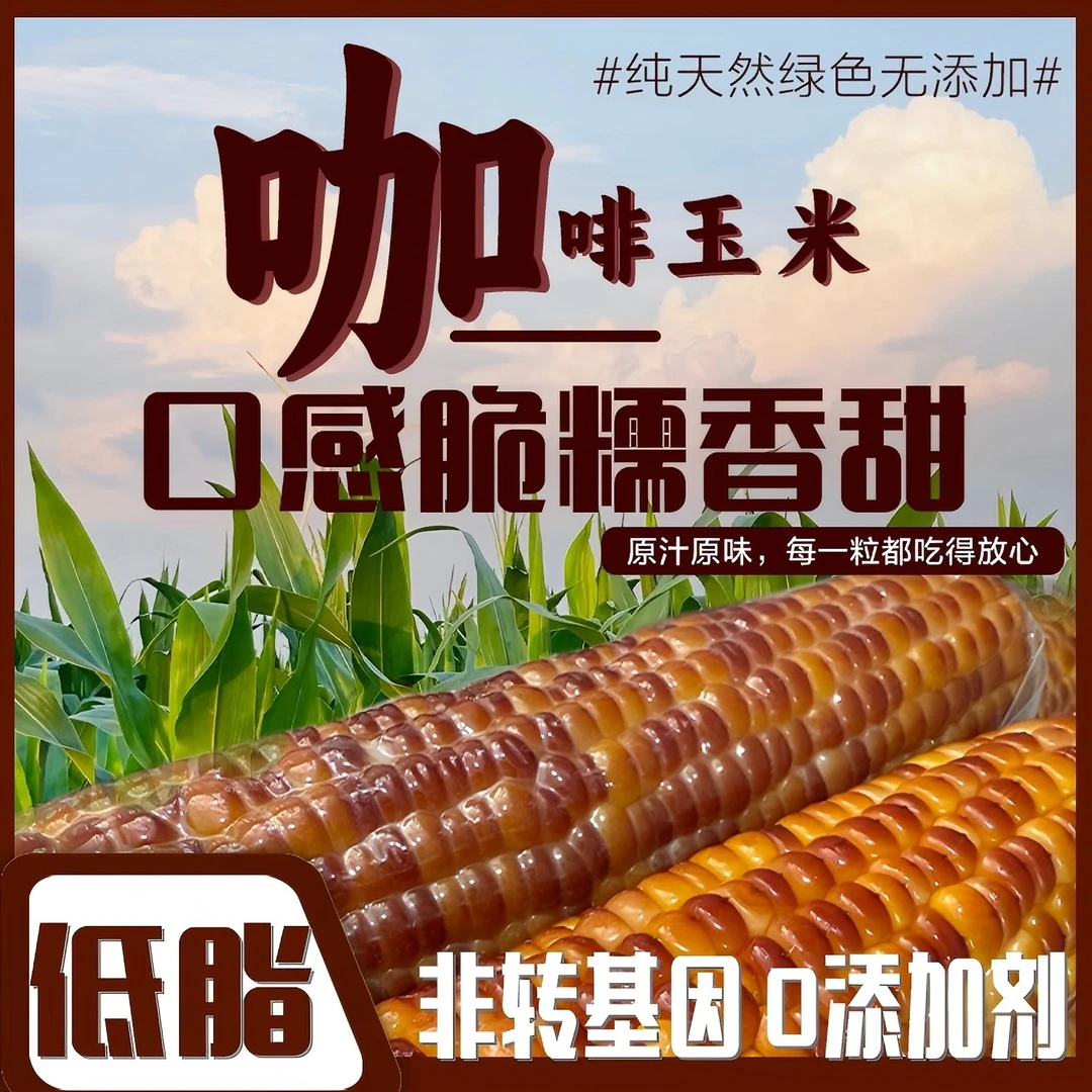 2025新咖啡玉米 脆甜 玉米 粗粮 真空装 8根精品/箱  鲜食新玉米