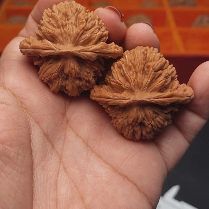 核桃汉高楼41尺核桃