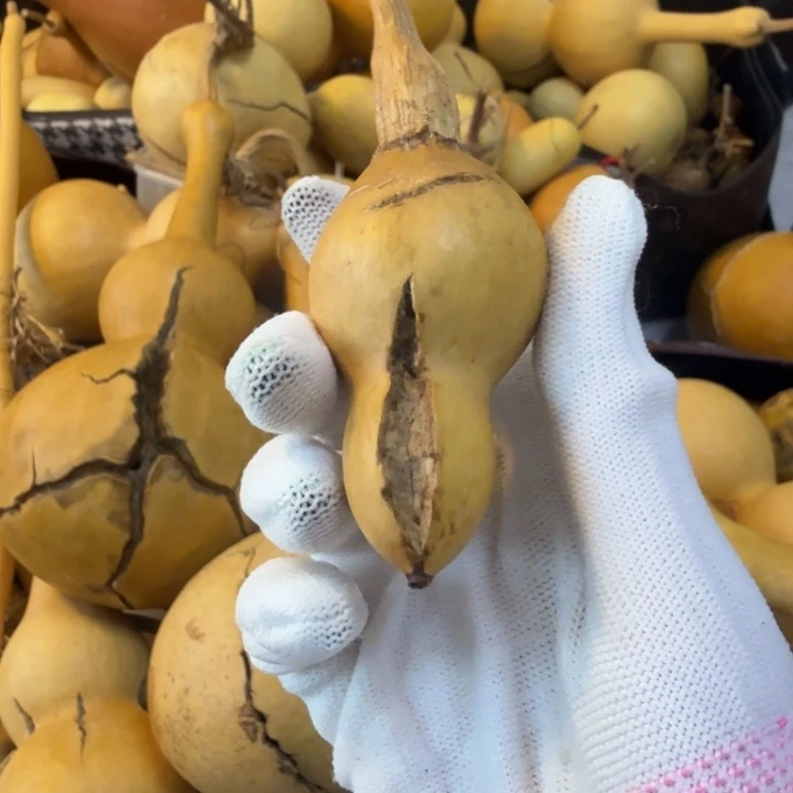 与***子啦啦啦啦啦啦啦啦咯啦咯啦咯啦咯啦