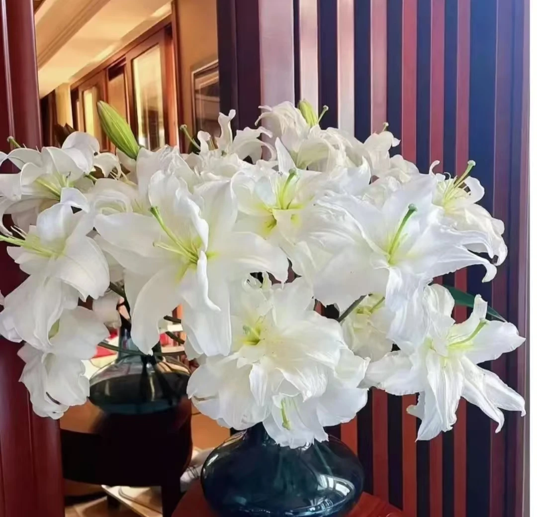 四季可种1颗《暴风雪》18/20重瓣香水百合花球