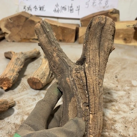 大果紫檀（缅甸花梨）幸****7