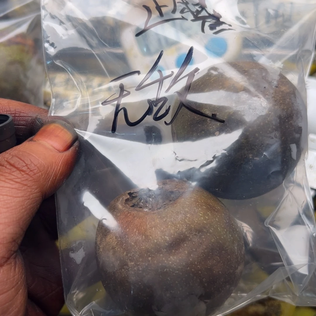 无***敌风云一号哈哈哈哈姐姐家