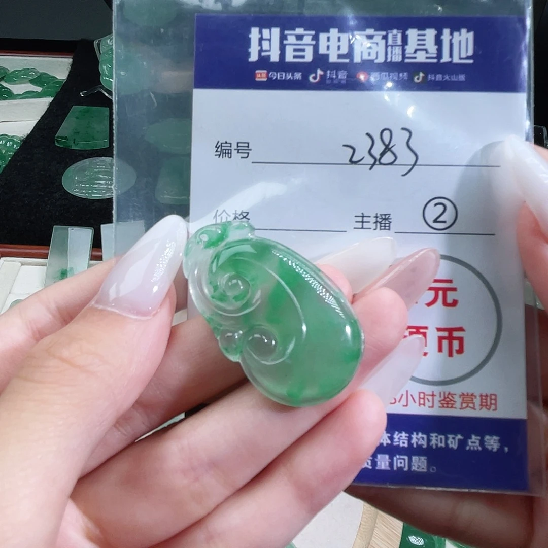 石英质玉未镶嵌颈饰