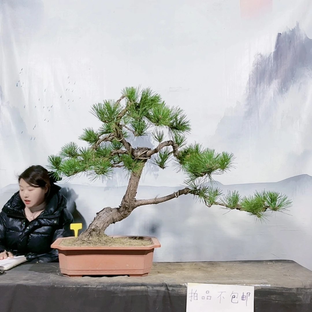 【闪购商品】无花朵运费到付