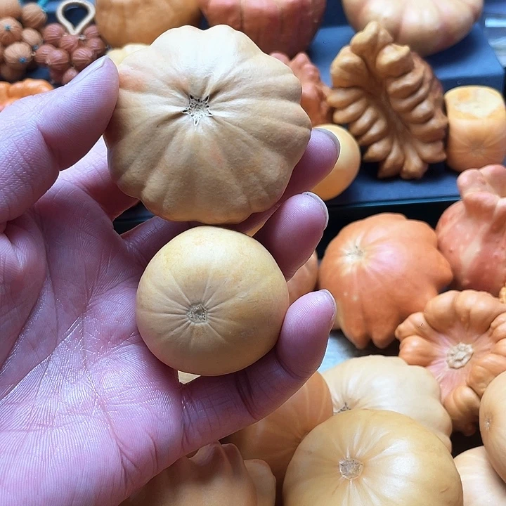 墨西哥大道辅路小花