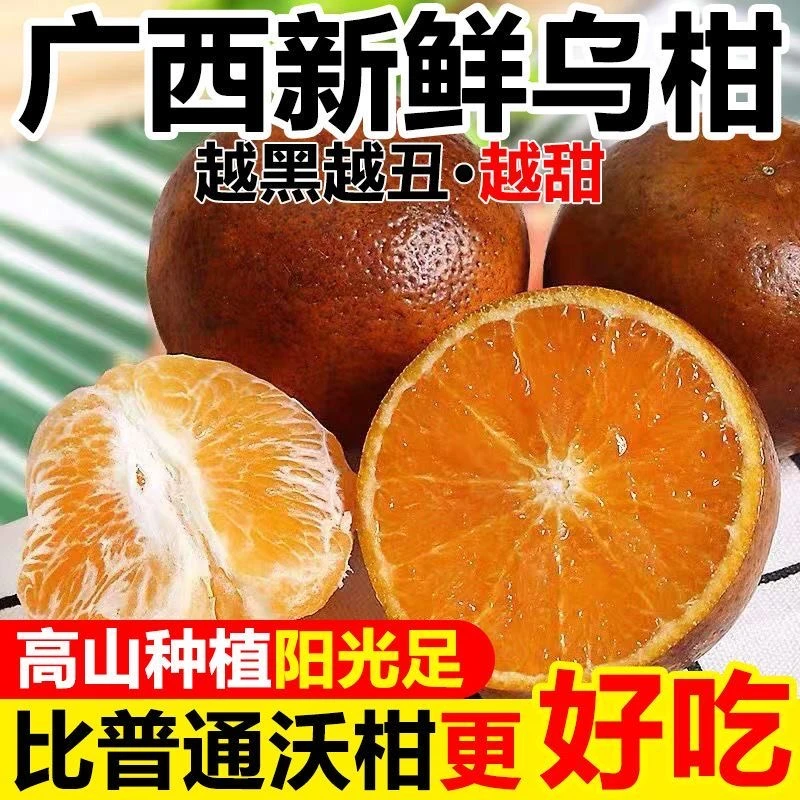 村官推荐武鸣乌柑品质新鲜当季桔橘香甜无酸甜蜜爽口广西武鸣沃柑