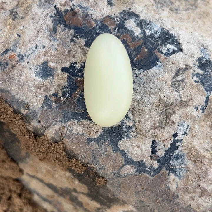 透闪石质玉未镶嵌车挂