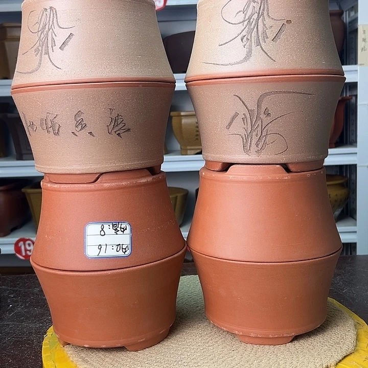 花盆紫砂你在一起