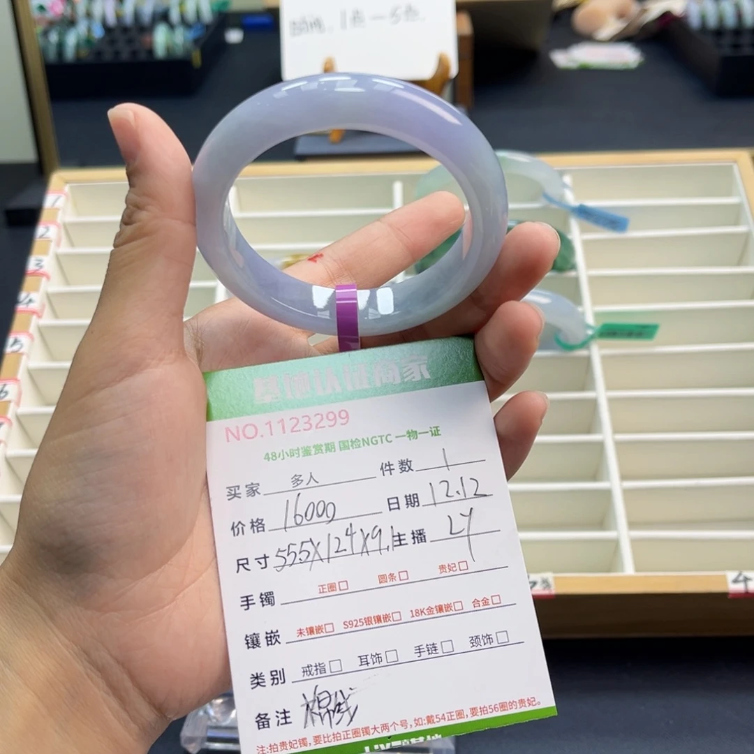 未镶嵌手镯翡翠手镯