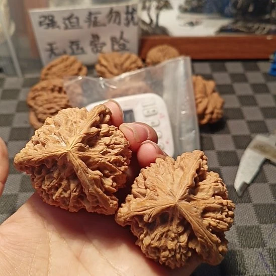 喜****官帽三棱三棱子三愣子