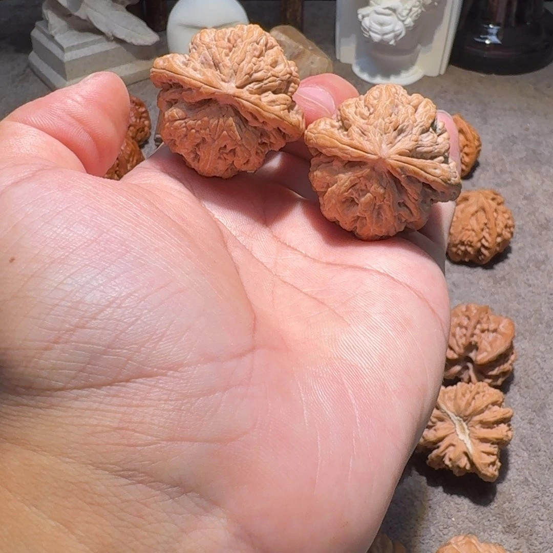 手串/手链核桃41全品大粗筋