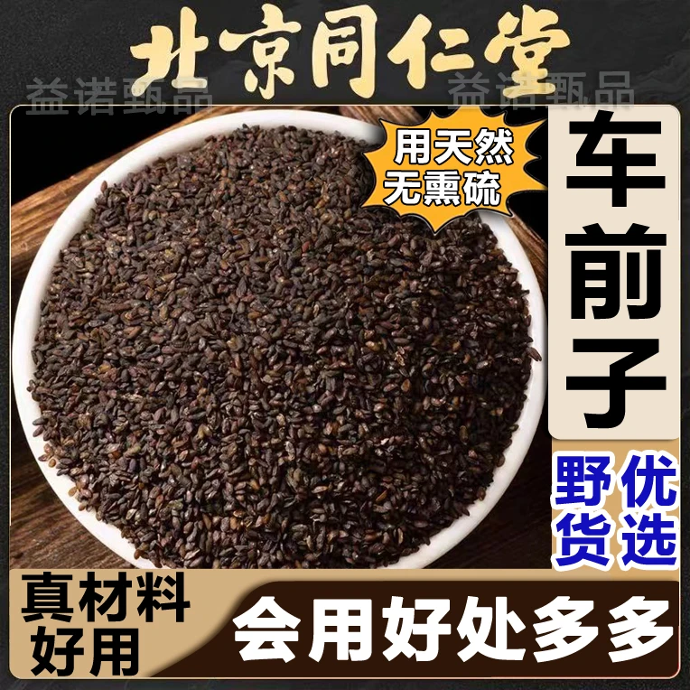 正品车前子中药材干净无杂质优质野货可泡水车前籽