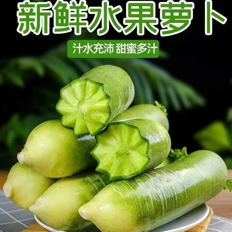 潍坊青萝卜3-10斤潍坊萝卜水果萝卜绿萝卜脆甜多汁素菜水果萝卜