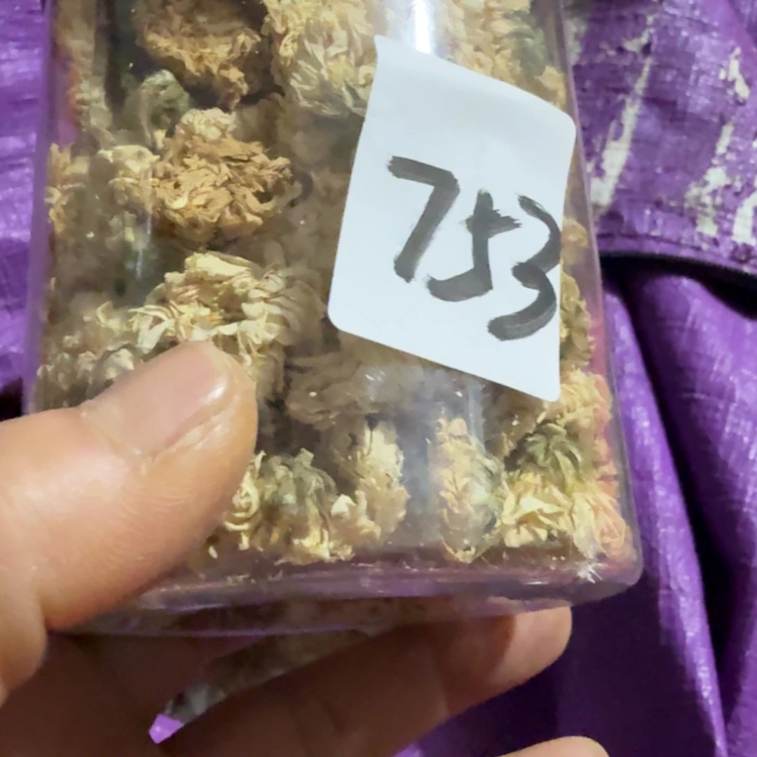 禅***尘杂色豆（科檀/科特迪瓦檀木）