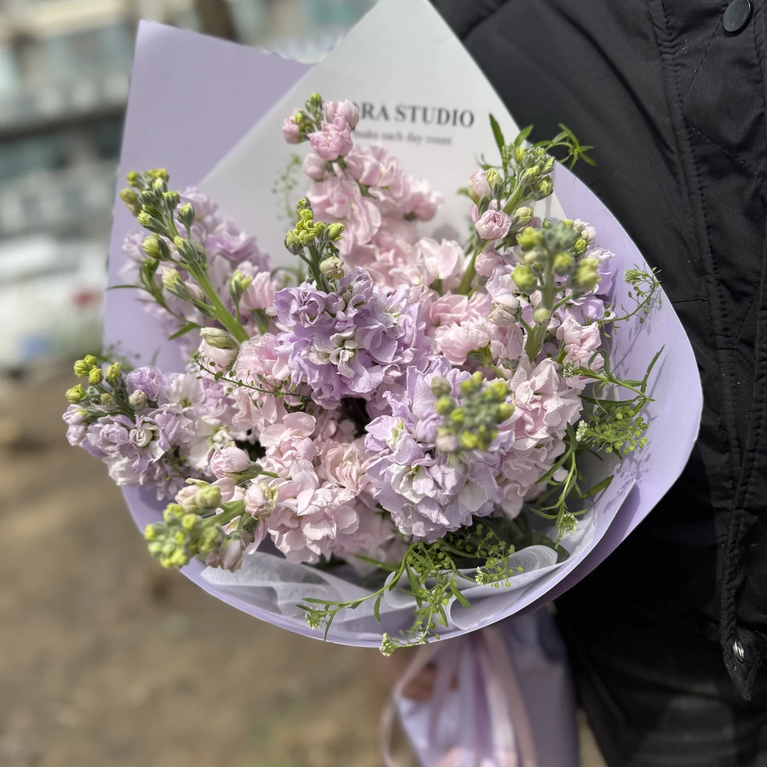 （梦幻）10枝紫罗兰花束