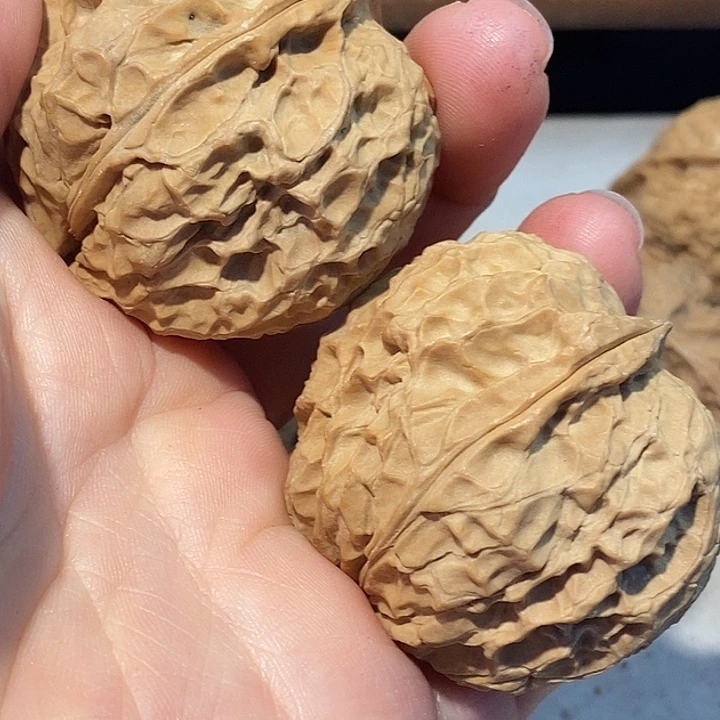 文玩核桃把件7777777777¥