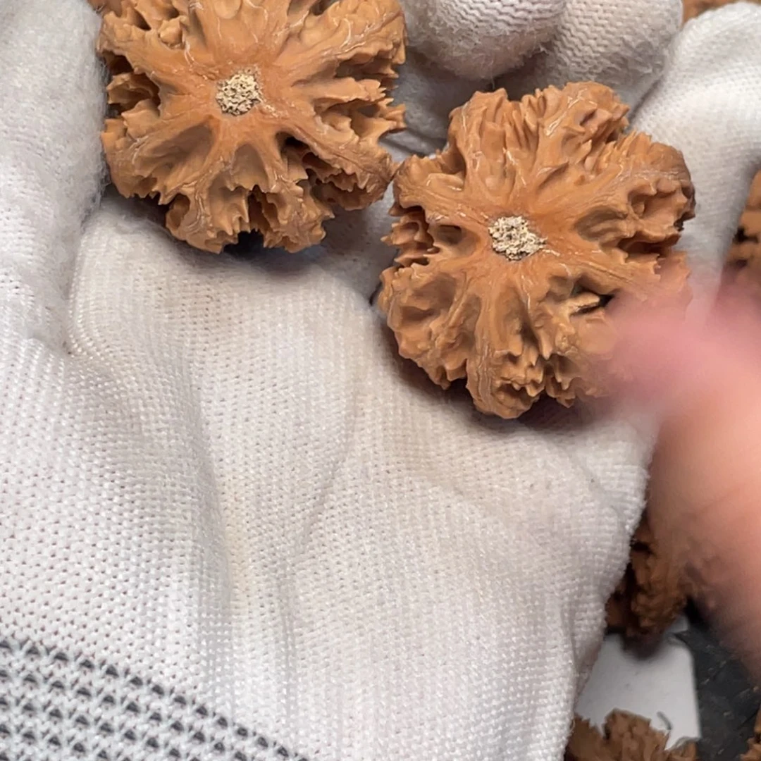 车***叔吊坠桃核2 秦岭灯笼野生小众