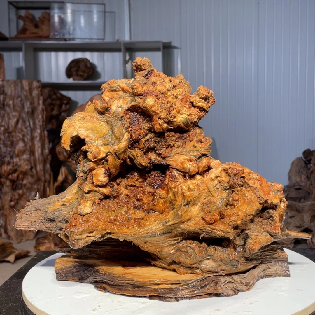 门***下木猛子琥珀木摆件38