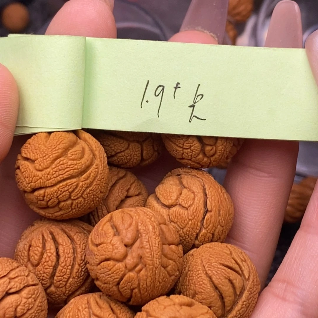 秦岭山脉龙纹桃核14