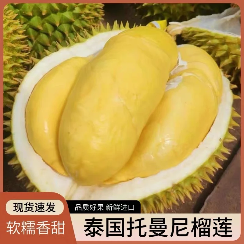 【JJ顺丰包邮】泰国小猫山托曼尼榴莲坏果包赔软糯香甜核大介意勿拍