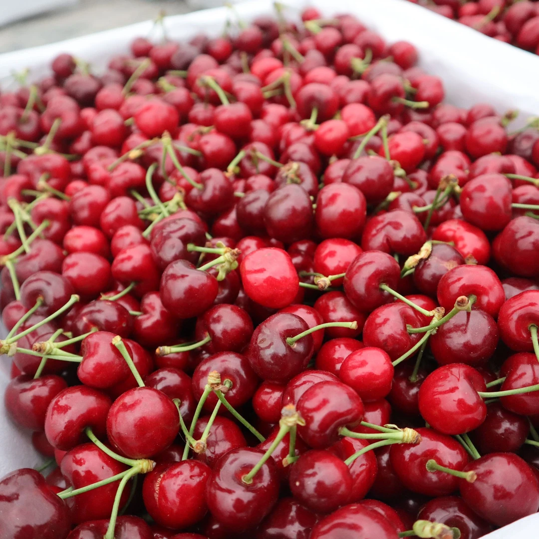 L汉源车厘子大樱桃颗颗爆汁新鲜当季5斤新鲜水果大樱桃