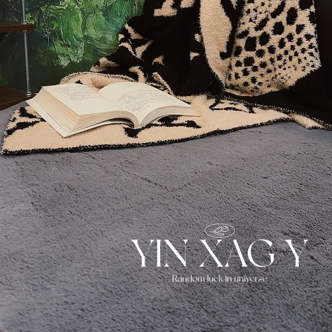 冬季加厚仿兔毛床边毯沙发飘窗意式简约柔软舒适地毯仿兔毛